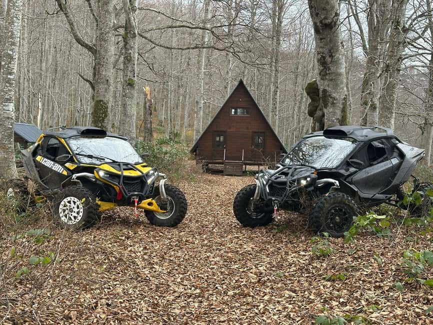Batumi: Mtirala ATV, Buggy Maverick & Horse Riding Adventure - Key points before you book