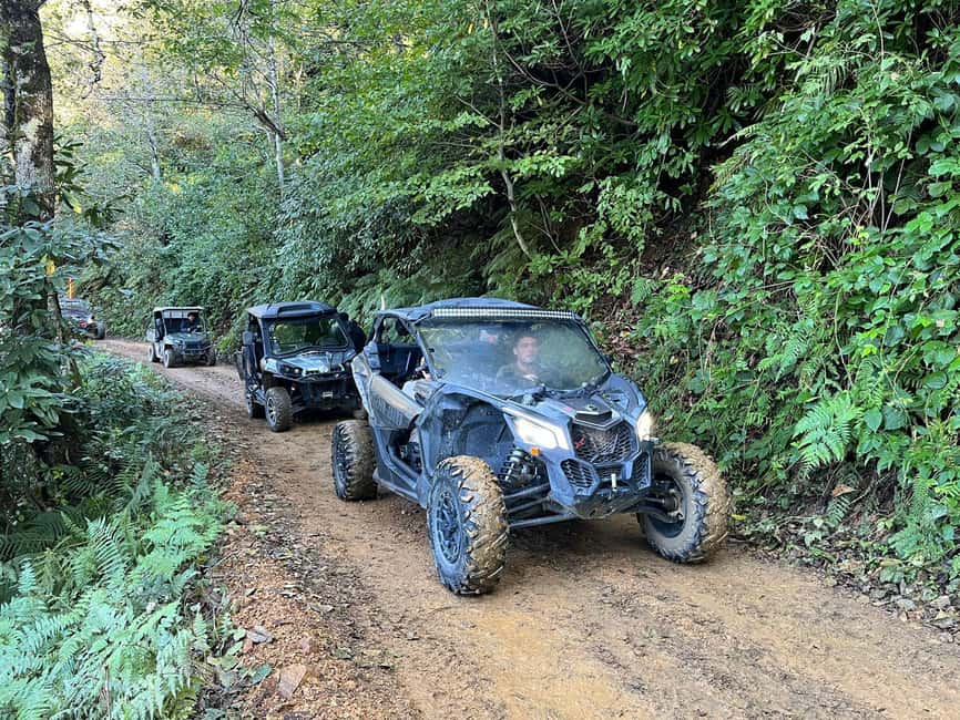 Batumi: Mtirala ATV, Buggy Maverick & Horse Riding Adventure - From Batumi to Mtirala in about two hours