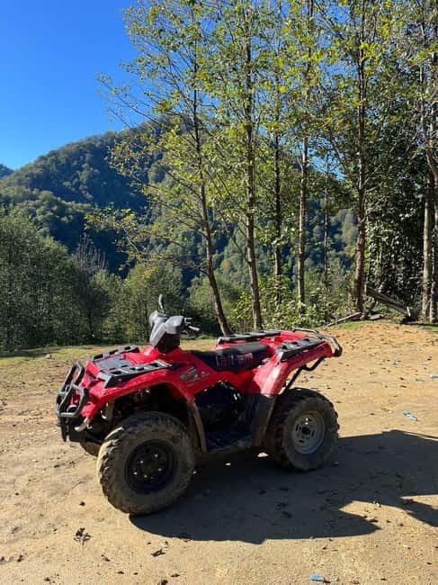 Batumi: Mtirala ATV, Buggy Maverick & Horse Riding Adventure - Wine, honey, chacha, and the road home