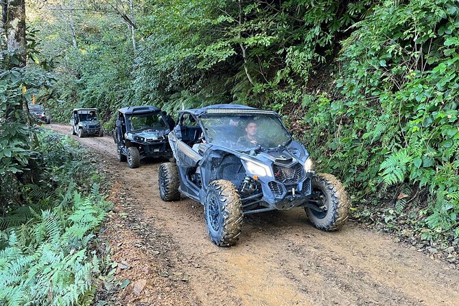 Batumi: Mtirala ATV, Buggy Maverick RZR & Horse Riding Adventure - What makes Mtirala a good setting for this outing