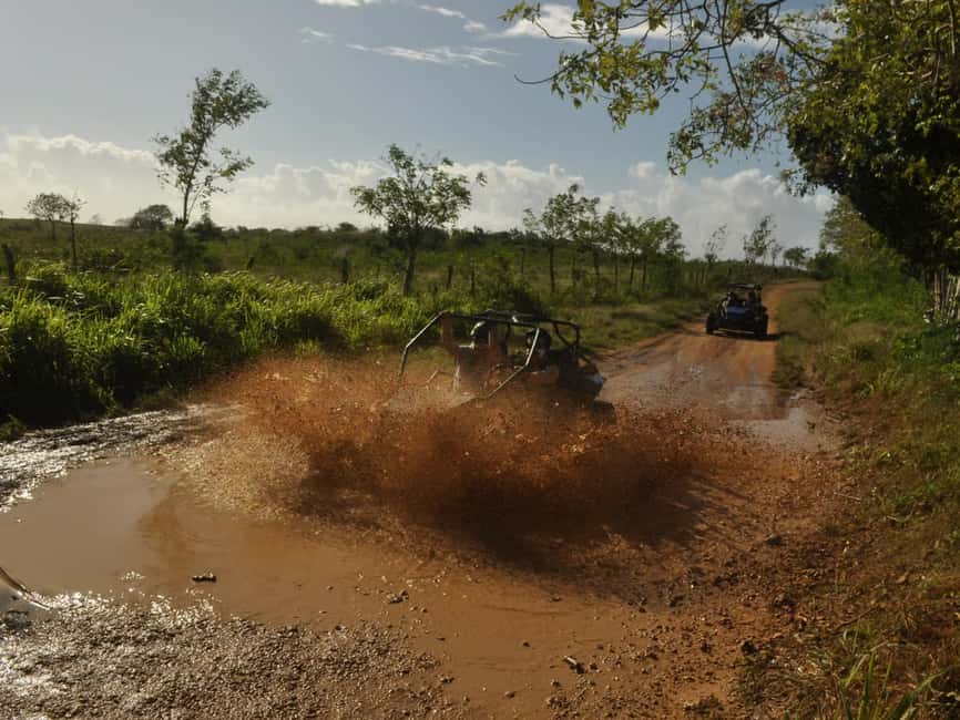 Bayahibe: ATV Buggy Adventure through Jungle & Caves - Safety, comfort, and who should skip it