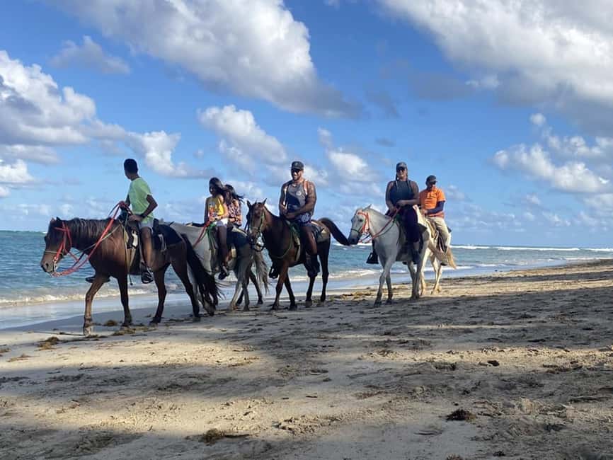 Bayahibe: Buggy and Horseback Riding Tour - Two rides, one muddy afternoon near Bayahibe