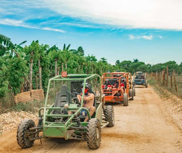 Bayahibe Jungle Buggy Expedition - Chocolate, coffee, snacks, and Mamajuana