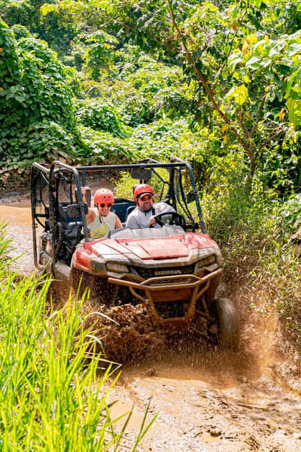 Bayahibe/La Romana: 4x4 Buggy and Monkeyland Tour - Getting close to the squirrel monkeys