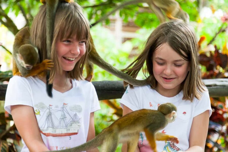 Bayahibe/La Romana: 4x4 Buggy and Monkeyland Tour - Who should book this outing