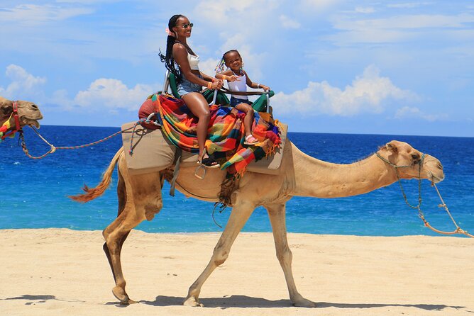 Beach, ATV, and Camel Ride Combo Tour - One hour on an ATV across Baja sand