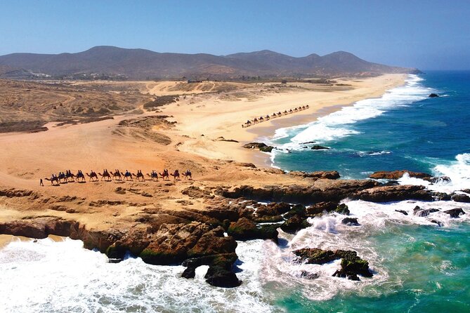 Beach CAN-AM SXS X3 and Camel Ride in Cabo - The meal, refreshments, and tequila tasting