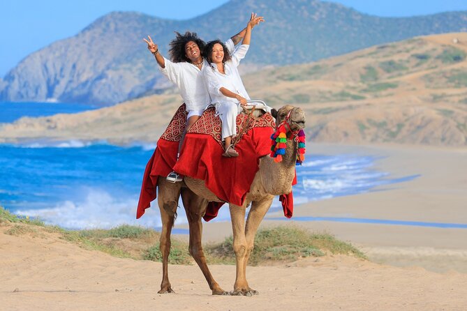 Beach CAN-AM SXS X3 and Camel Ride in Cabo - Who will enjoy this Cabo outing most