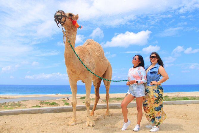 Beach CAN-AM SXS X3 and Camel Ride in Cabo - Timing, weather, and what to bring