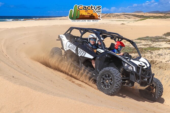 Beach UTV Adventure with Free Camel and Horseback Ride - A relaxed quarter-horse ride for beginners