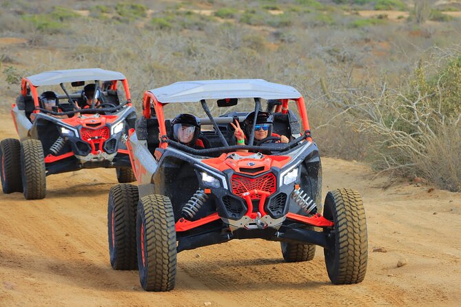 Beach UTV and Camel Ride Combo in Cabo - Lunch, Tequila, and What Is Actually Included