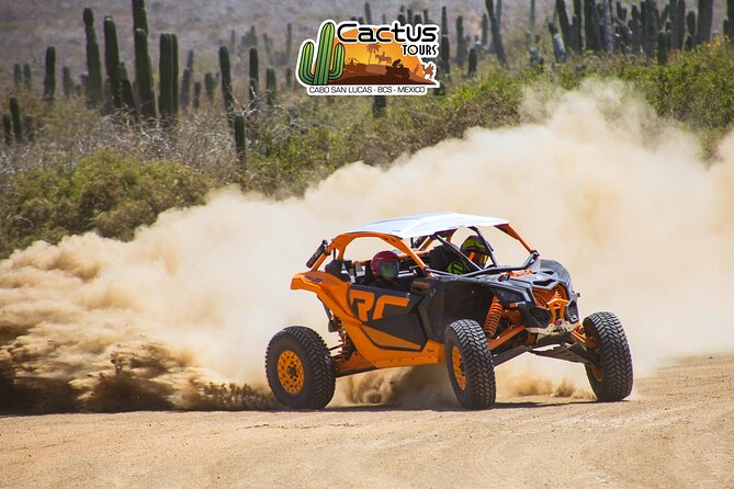 Beach UTV and Camel Ride Combo in Cabo - What the $100 Price Really Buys You