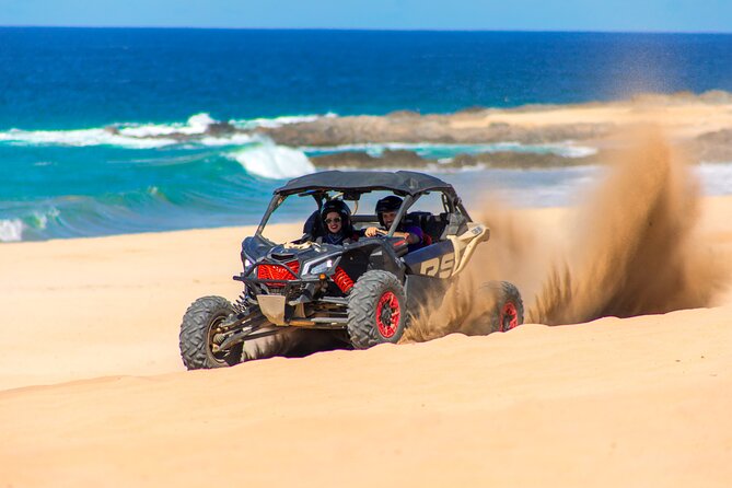 Beach UTV and Camel Ride Combo in Cabo - Who Will Enjoy This Most