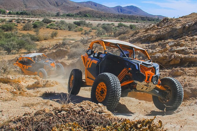 Beach UTV and Camel Ride Combo in Cabo - Check-In, Safety Gear, and the Herpetarium