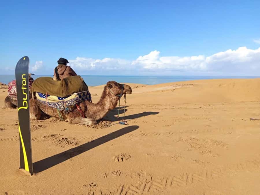 Best Agadir Desert Adventure: Quad Camel Sandboarding & BBQ - Guides and service make the outing easier