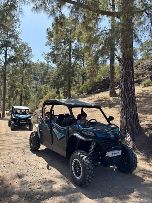 BEST FAMILY & FRIENDS FUN BUGGY TOUR - Key points before you book