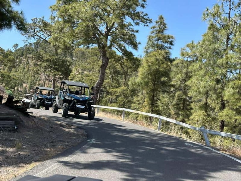 BEST FAMILY & FRIENDS FUN BUGGY TOUR - How the two-and-a-half-hour timing works