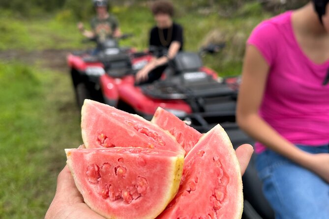 Big Island ATV Tour at Ohana Ranch - A Different Kind of Big Island ATV Ride