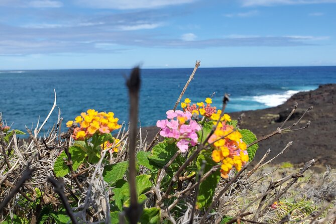 Big Island Southside ATV Tour - The lava tube stop adds more than scenery