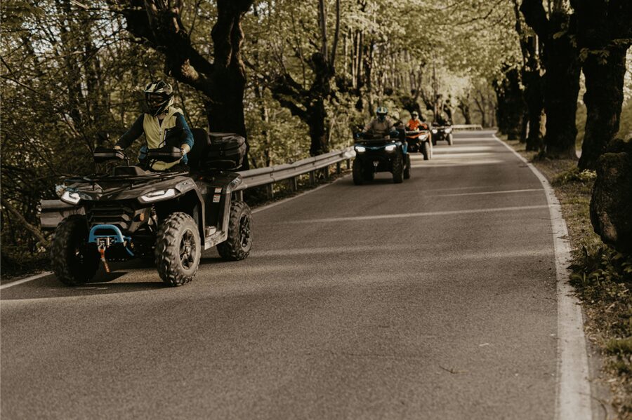 Bled: Full-Day Quad Rental - What makes the service useful