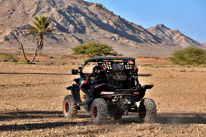 Boa Vista 2h Buggy Death Valley Adventure 1000cc - What the 2-hour route actually feels like