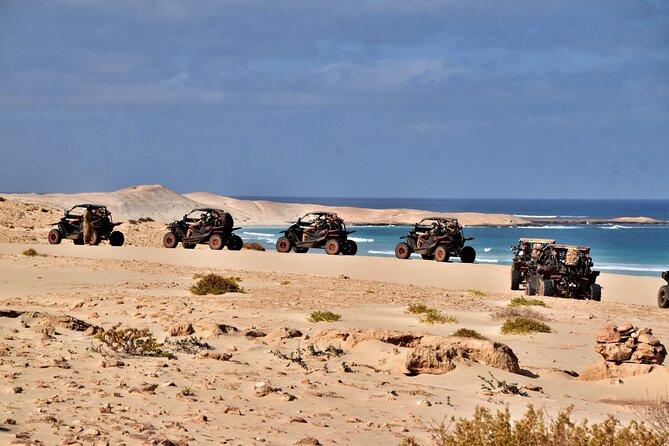 Boa Vista 4h South Buggy Adventure 1000cc - Praia de Verandinha and the cliff arch