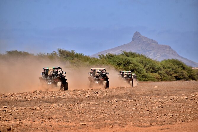 Boa Vista 4h South Buggy Adventure 1000cc - Price, equipment, and practical value