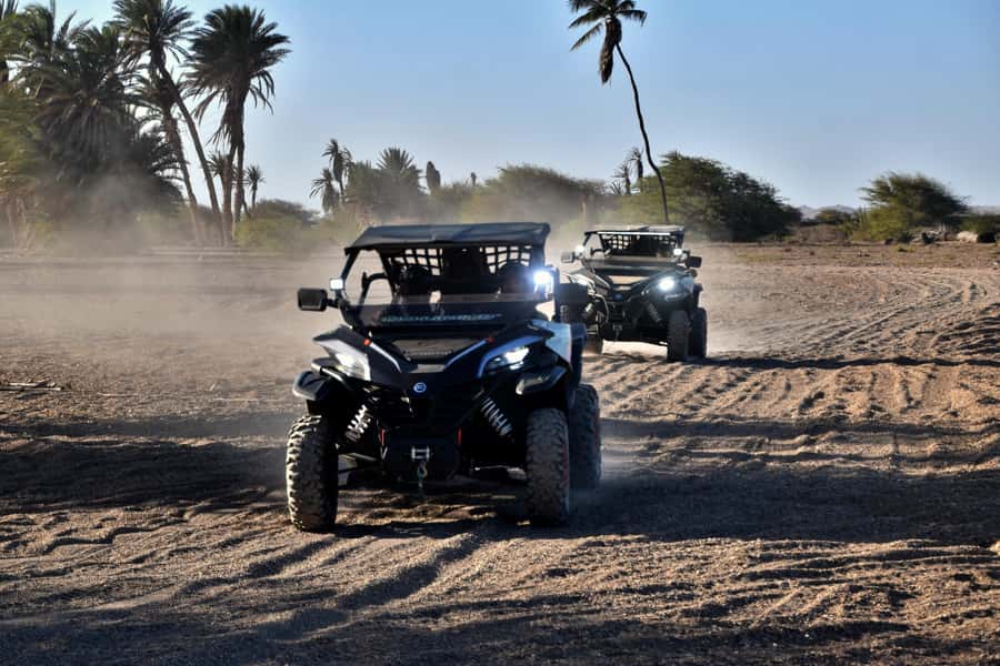 Boa Vista Buggy Tour: Death Valley Adventure (2-Hour) - The oasis offers a surprising pause