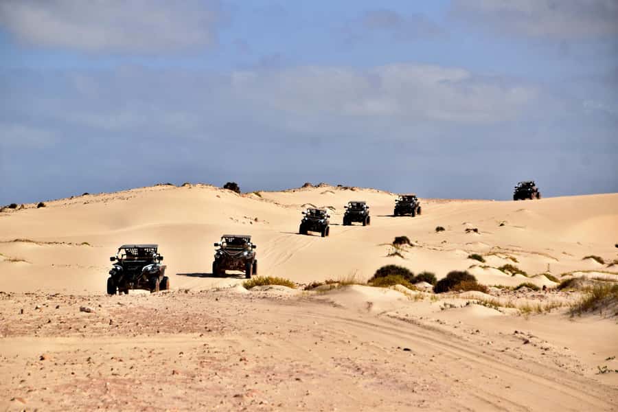 Boa Vista Buggy Tour: Santa Monica & South Desert (4-Hour) - Who should book this experience