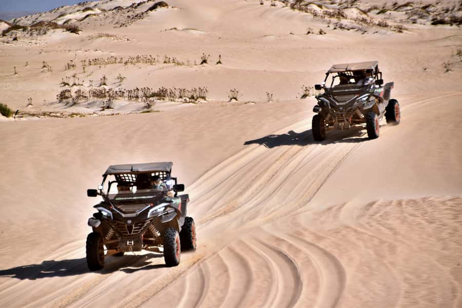 Boa Vista Buggy Tour: Santa Monica & South Desert (4-Hour) - Why this buggy trip suits Boa Vista