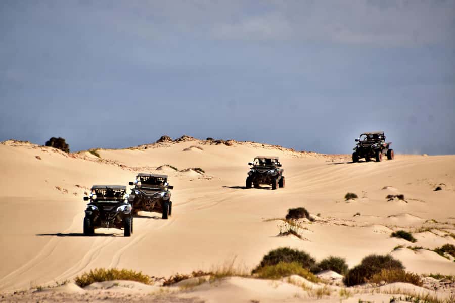 Boa Vista Buggy Tour: Santa Monica & South Desert (4-Hour) - The buggy, safety gear, and driving conditions