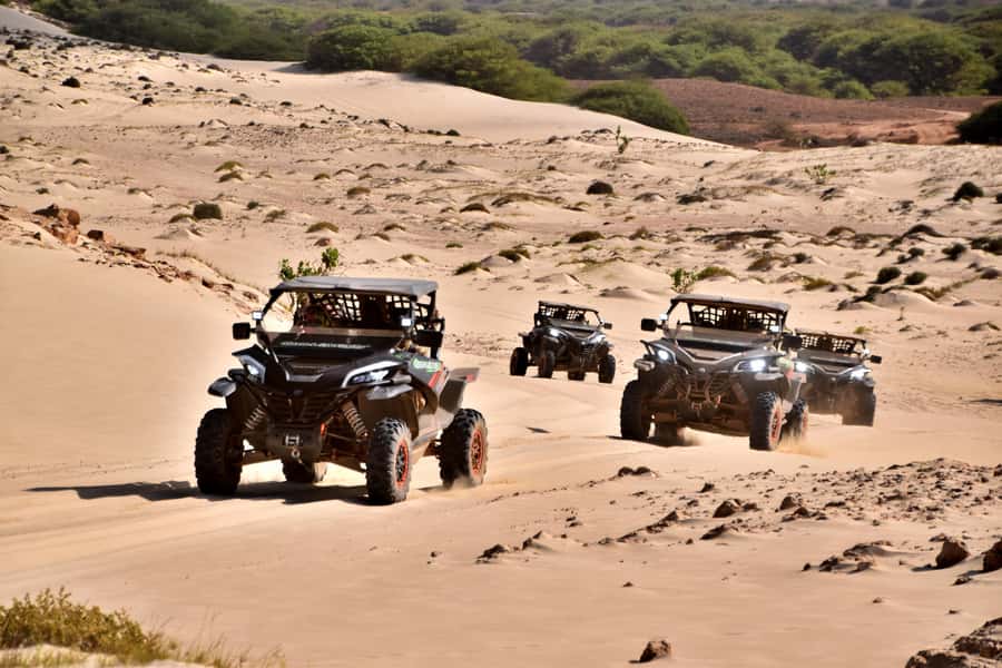 Boa Vista Buggy Tour: Santa Monica & South Desert (4-Hour) - What the $293 group price really means