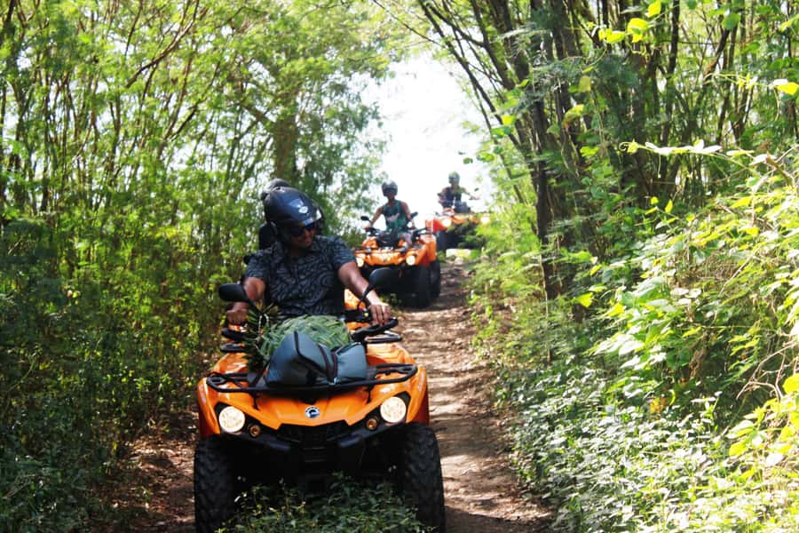 Bora Bora: Island Tour and Mountains Getaway by Quad Bike - Why a quad bike is a smart way to see Bora Bora