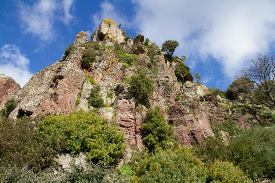 Bosa: Coast and Country Guided Quad Bike Tour - Ischia Ruggia, Torolo, and the second swim stop