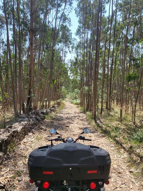 Braga: Quad bike ride, experience the adventure in Braga with Quad Paradise! - The views, tracks, and sightseeing tradeoff