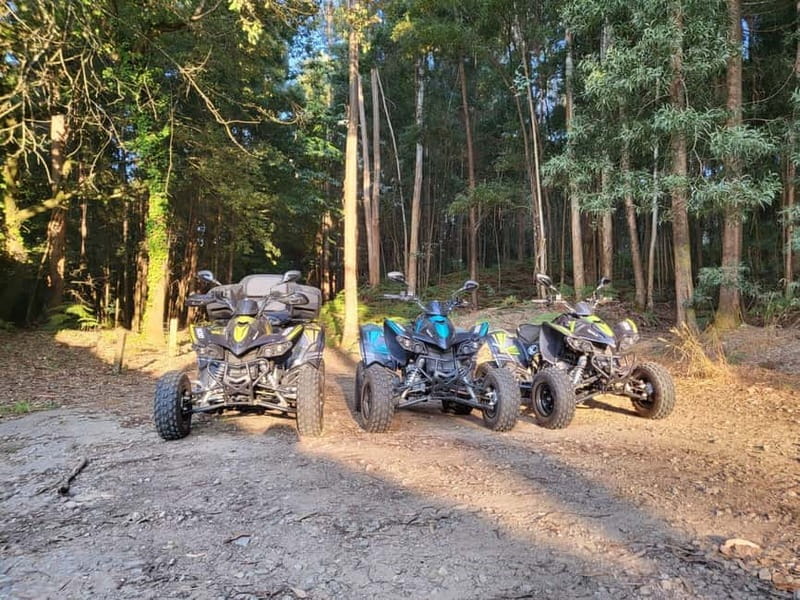 Braga: Quad bike ride, experience the adventure in Braga with Quad Paradise! - Who should book this ride?