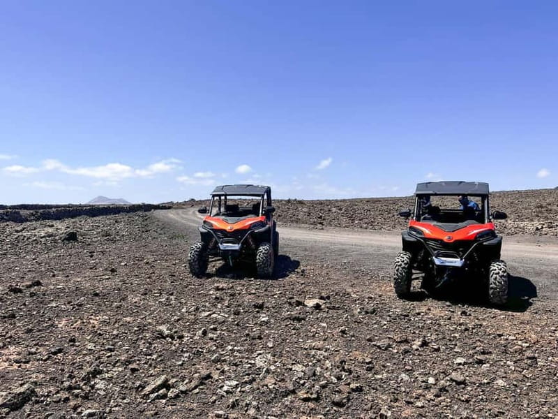 Buggy 4 pazas Corralejo Fuerteventura - Key points to know before you book