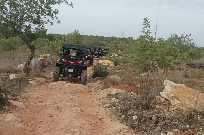 Buggy Adventure - 1.5 Hours Off-Road Guided Tour from Albufeira - How the guides shape the experience