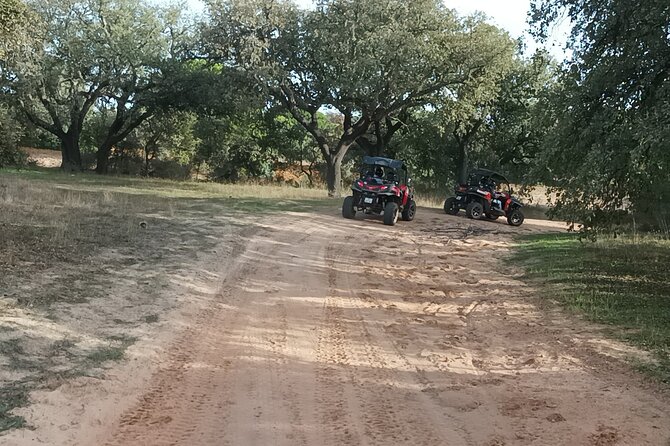 Buggy Adventure - 1.5 Hours Off-Road Guided Tour from Albufeira - Price and what you receive for $68.57