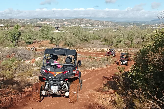 Buggy Adventure - 1.5 Hours Off-Road Guided Tour from Albufeira - Who will enjoy this most