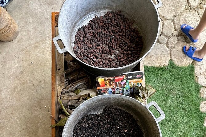 Buggy Adventure Tour with Chocolate and Coffee in Punta Cana - Key points to know before booking