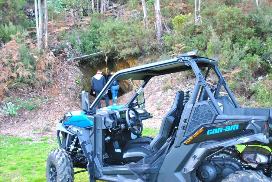 Buggy Experiences - Key points at a glance