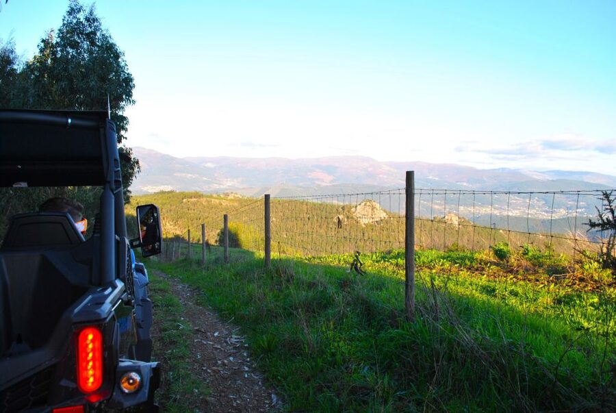 Buggy Experiences - Driving comfort, equipment, and safety