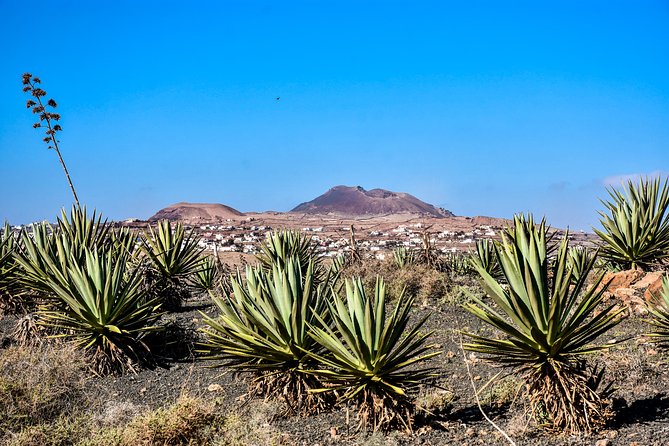 Buggy Fuerteventura Off-Road Excursions - Price, group value, and photo extras