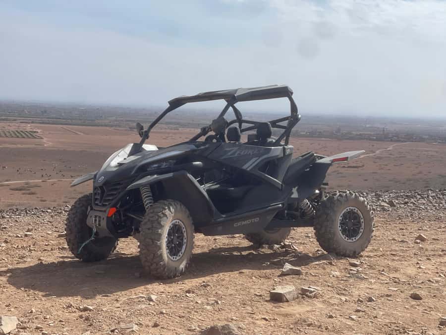 Buggy Marrakech Desert and Palmerie - Key points before you book