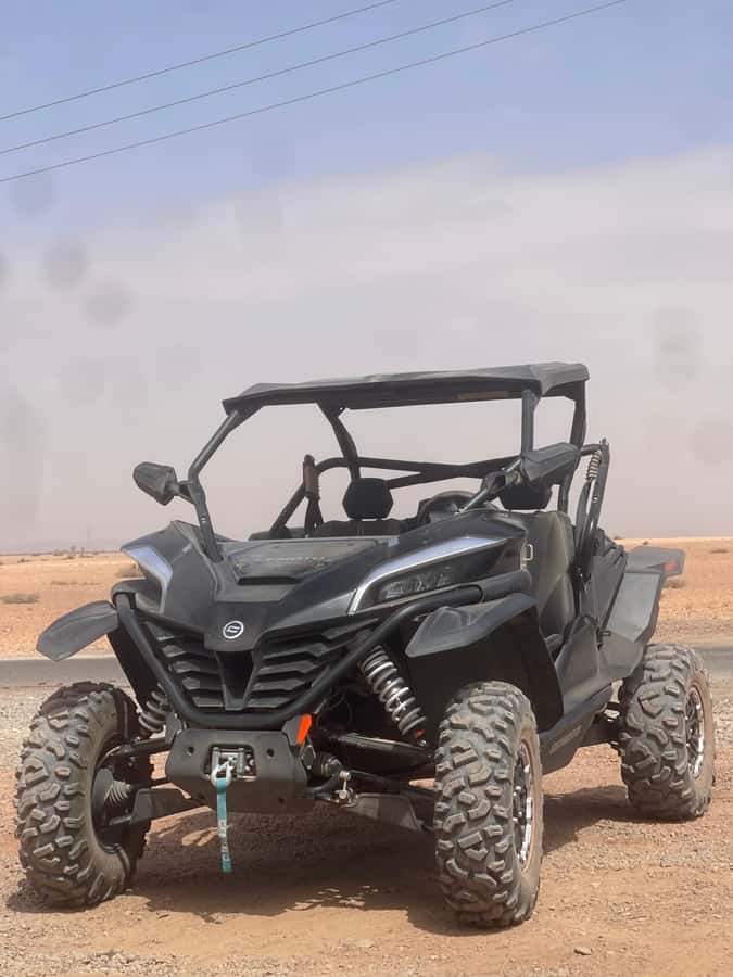 Buggy Marrakech Desert and Palmerie - Should you book the Buggy Marrakech Desert and Palmerie?