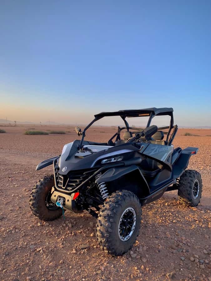 Buggy Marrakech Desert and Palmerie - Palm trees, Berber villages, and Atlas Mountain views