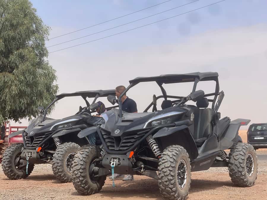 Buggy Marrakech Desert and Palmerie - What $87 means in practical value