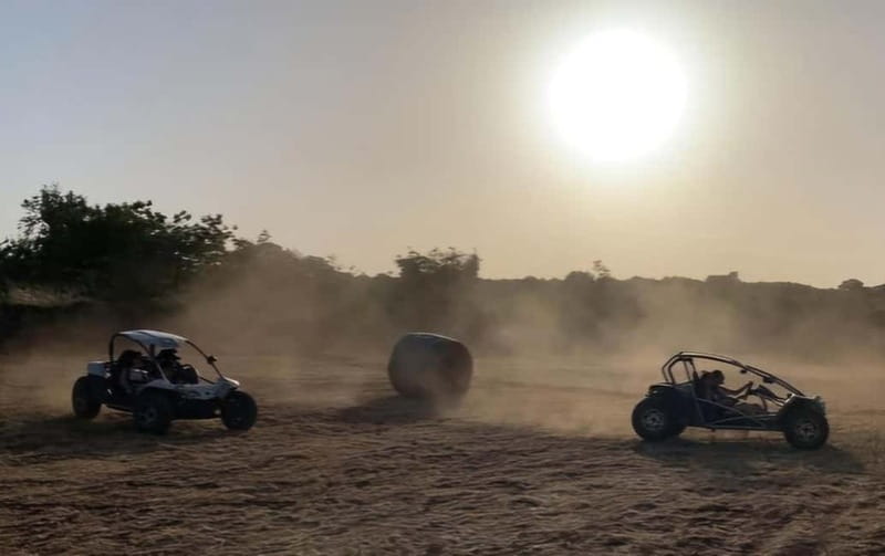 Buggy/Quad excursions in Puglia with 4-seater buggies available on request. - Trulli, masserias, and the old olive groves