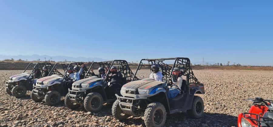 Buggy ride at the Palm Grove and Desert with swimming pool - Key points at a glance